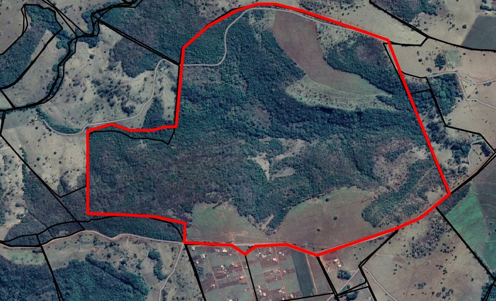 Área de Mata Atlântica foi fiscalizada pelo Ibama em Araguari — Foto: Ibama