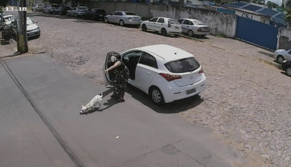 Câmera de segurança flagrou abandono de cachorro em São Leopoldo (RS) — Foto: Reprodução/Câmera de segurança