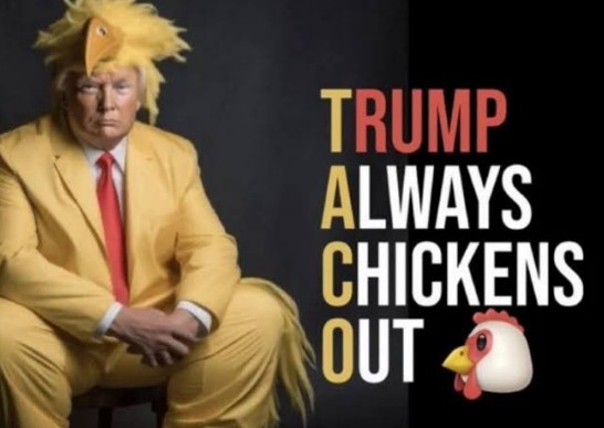 Brasileiros zoam Trump com meme 'TACO'; expressão significa 'Trump sempre amarela'