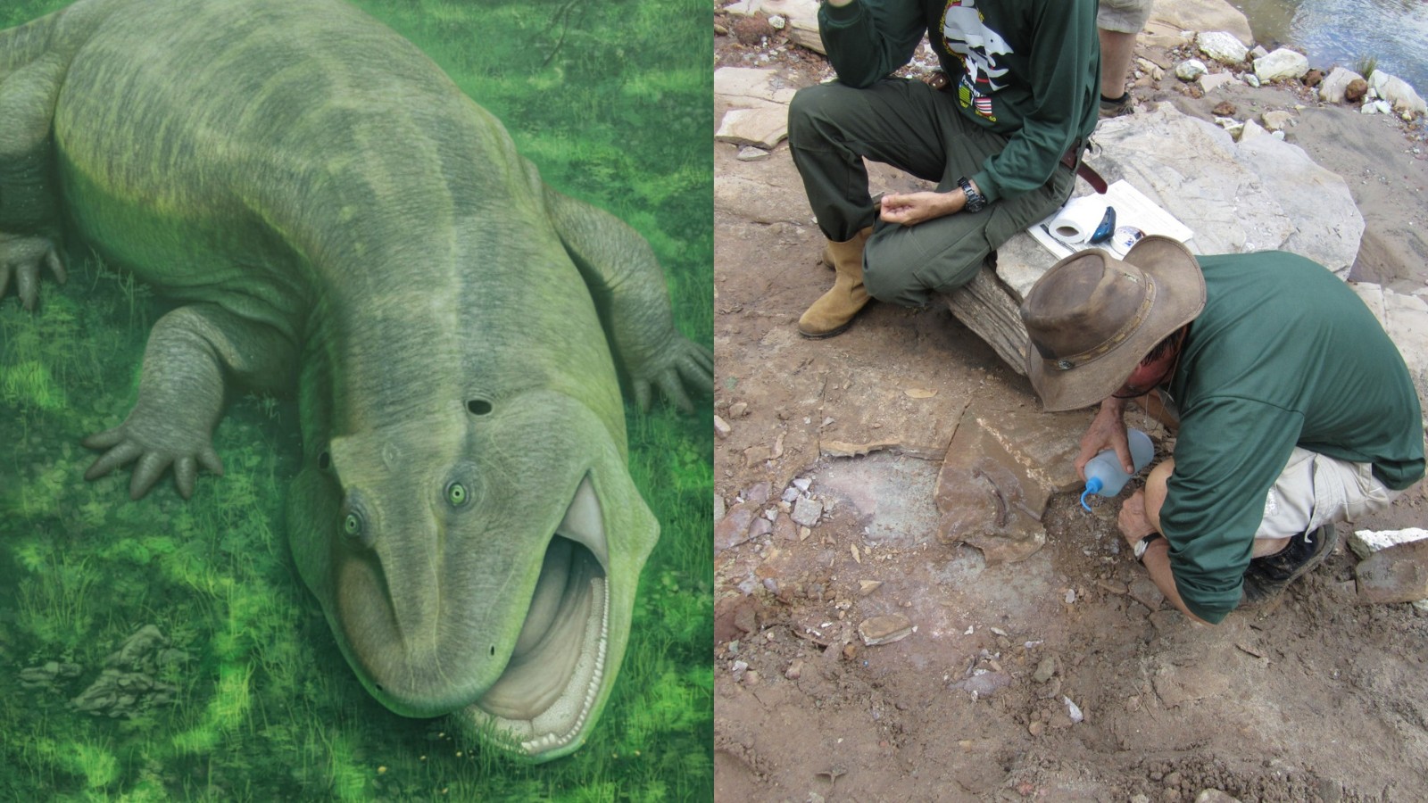 Nova espécie de anfíbio que viveu há 280 milhões de anos é descoberta através de fósseis localizados no PI e MA