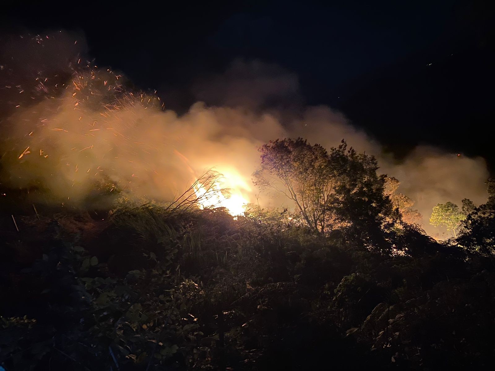Defesa Civil combate incêndio em mata às margens da rodovia Floriano Rodrigues Pinheiro
