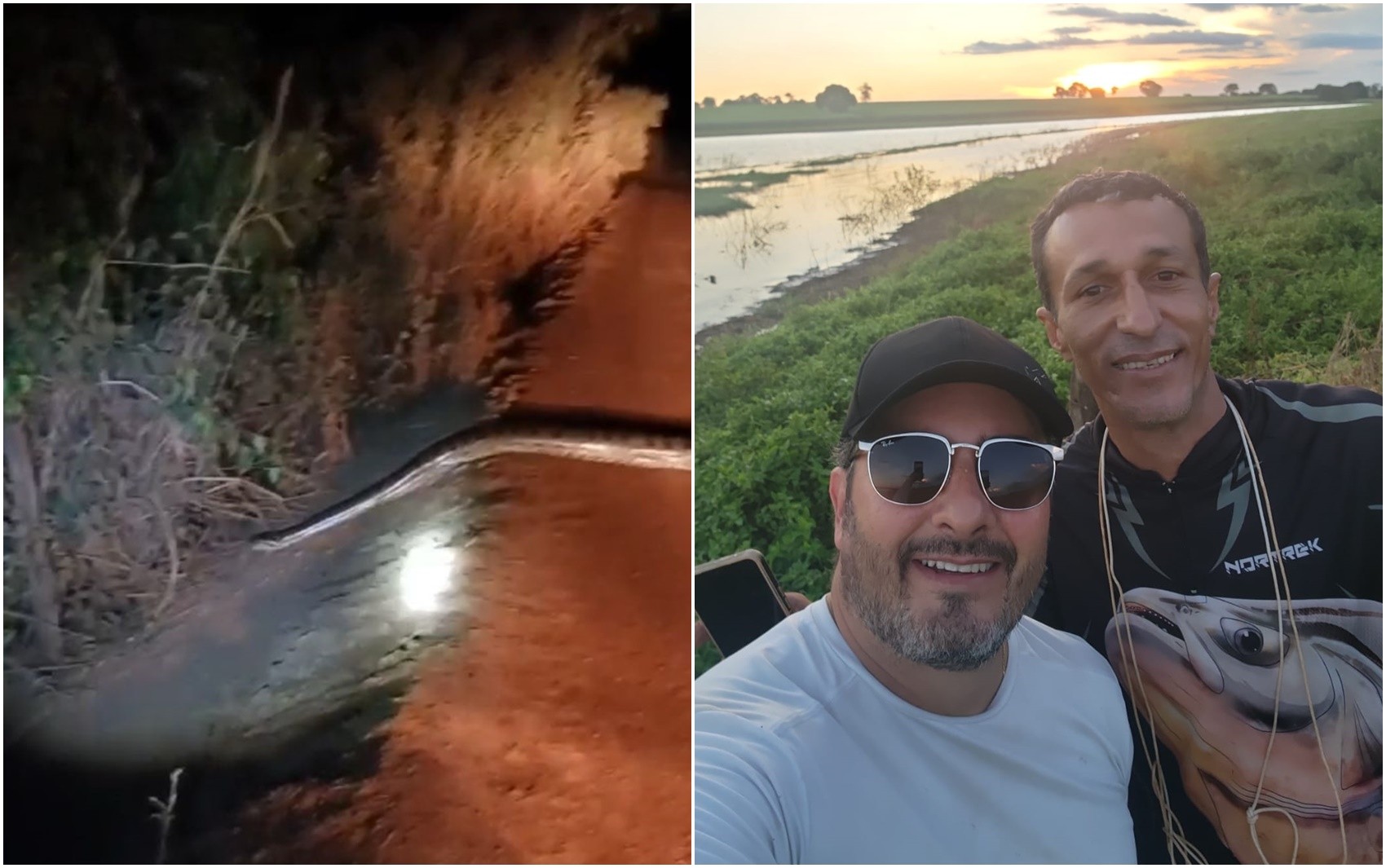Sucuri enorme: amigos se deparam com serpente em estrada quando voltavam de pescaria; vídeo 