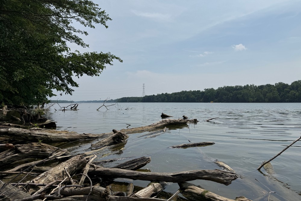 Cinco pessoas morrem afogadas após tentativa de resgate no rio Scioto, em Ohio