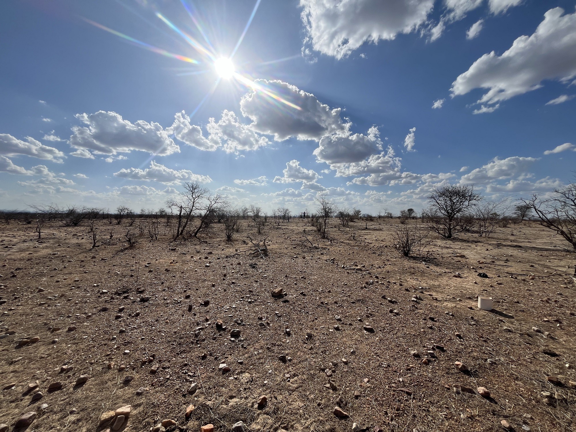 Processo de desertificação atinge 62 municípios e 5 novas áreas no RN, aponta estudo