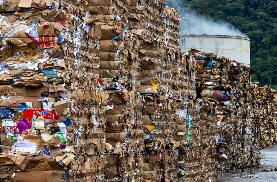 Reciclagem de materiais poderia gerar mais de 40 mil empregos no RJ e renda de mais de R$ 11 bi, aponta relatório da Firjan