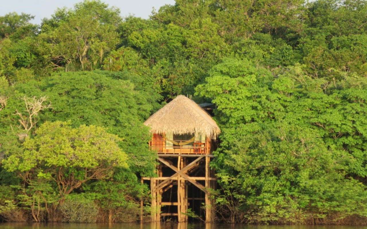 Como é dormir na floresta Amazônica? Conheça experiências em hotéis de selva no Amazonas
