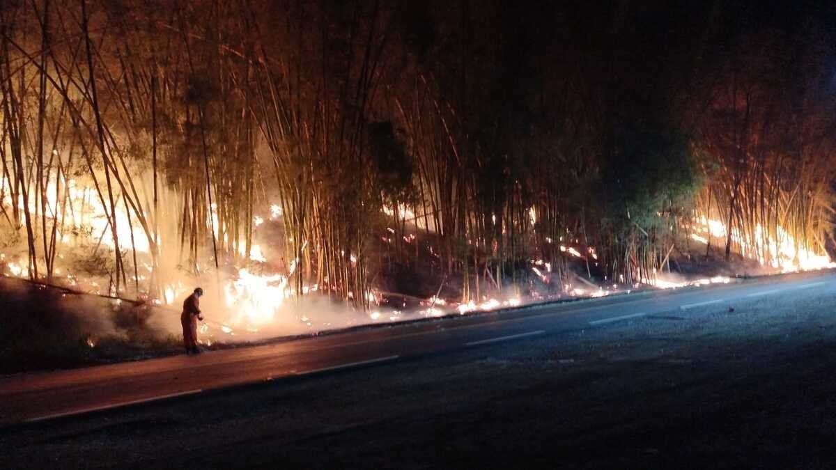 Incêndio em bambuzal interdita Estrada União Indústria por horas em Juiz de Fora; VÍDEO 
