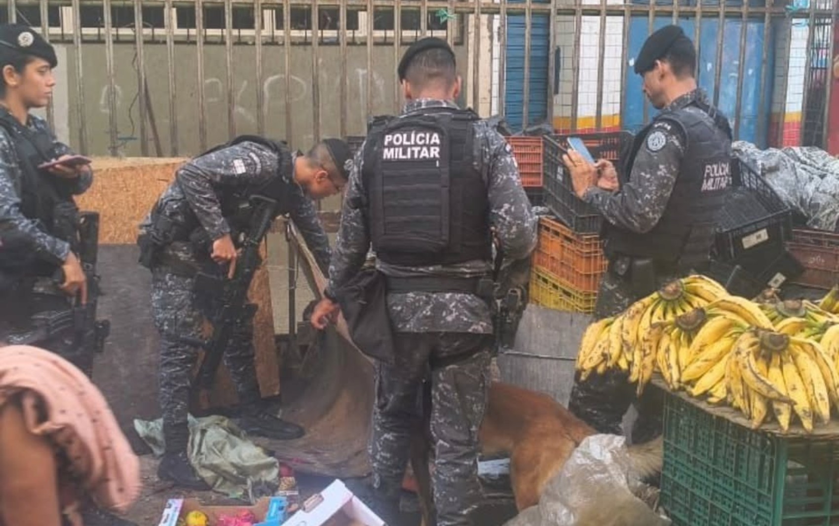 Drogas escondidas em barraca de frutas são apreendidas em Salvador após cão farejador passar pelo local