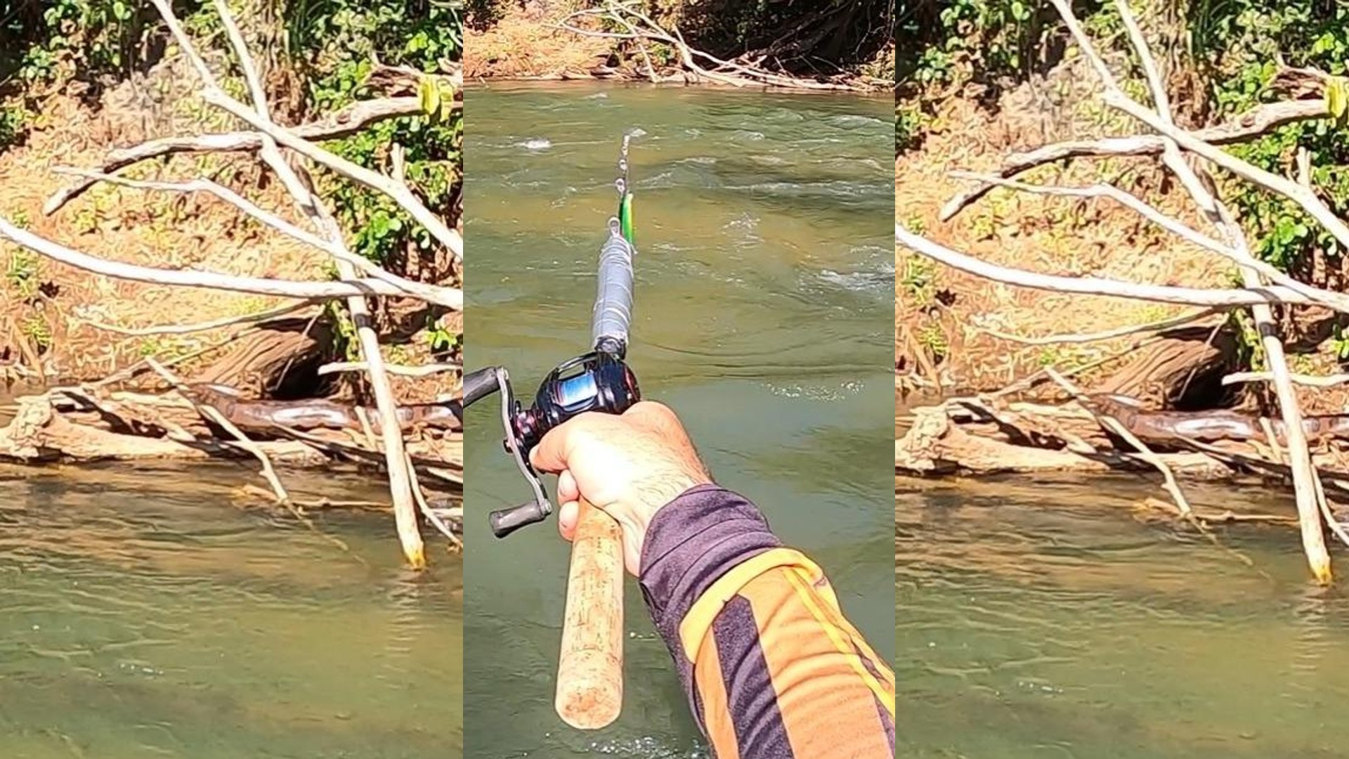 Em descida de rio, pescador flagra sucuri de 5m 'tranquilona' durante banho de sol; veja vídeo 