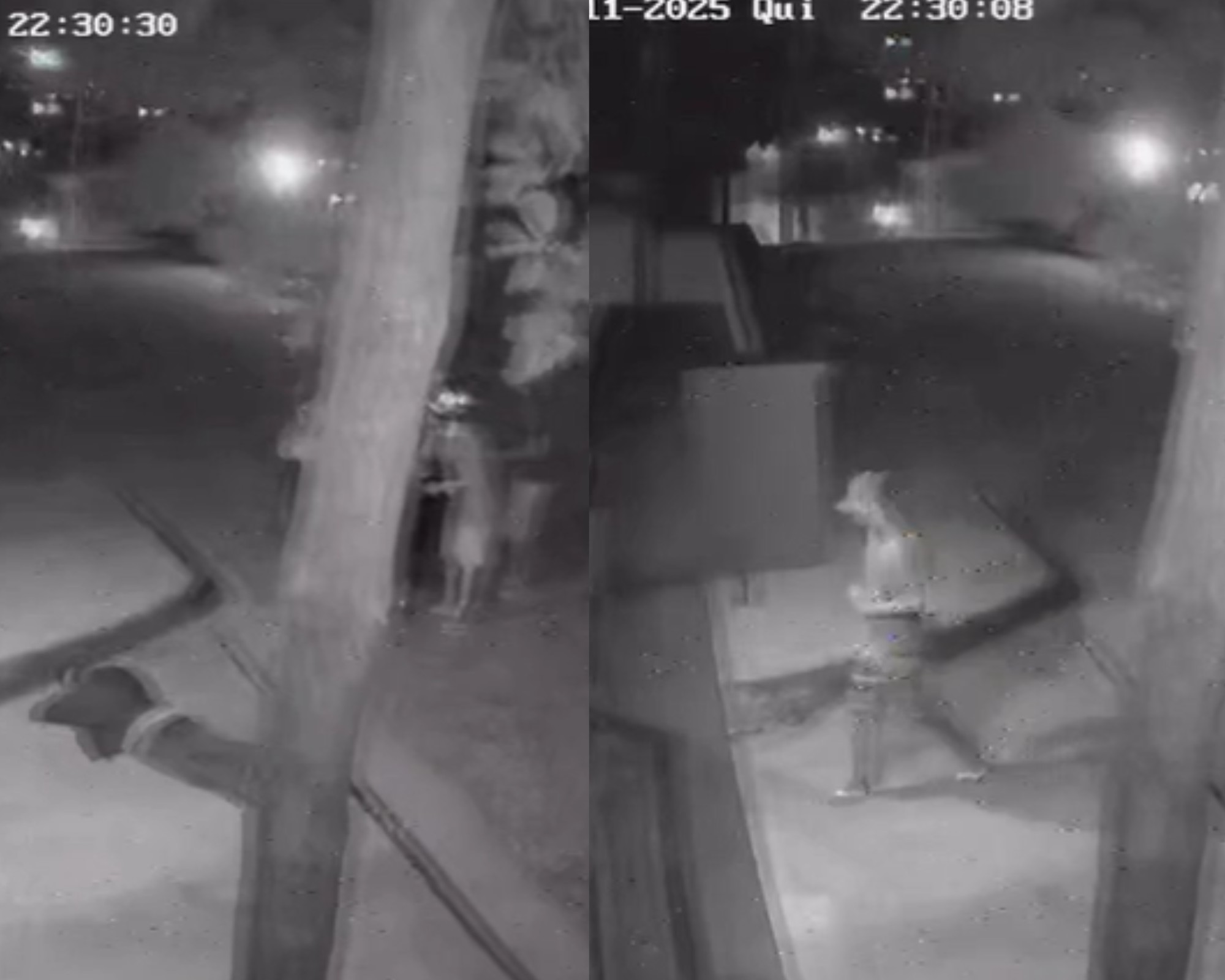 VÍDEO: Criminosos armados roubam entregador e tentam entrar em casa de cliente em Teresina