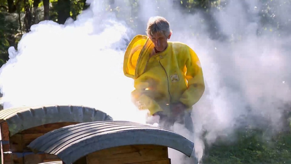 Apicultor José Alonso Rodriguez passou a ter produção de abelhas em Cariacica, Espírito Santo, após mudar hábitos alimentares — Foto: Reprodução/TV Gazeta
