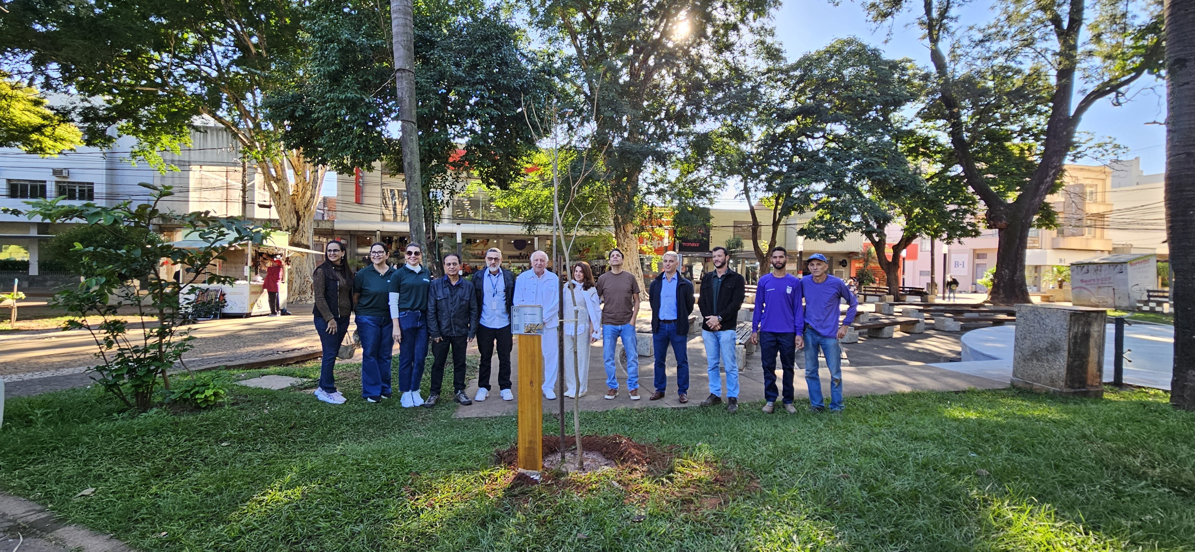 Funerária no interior de SP 'troca' enterros por plantio de árvores no Dia Mundial do Meio Ambiente