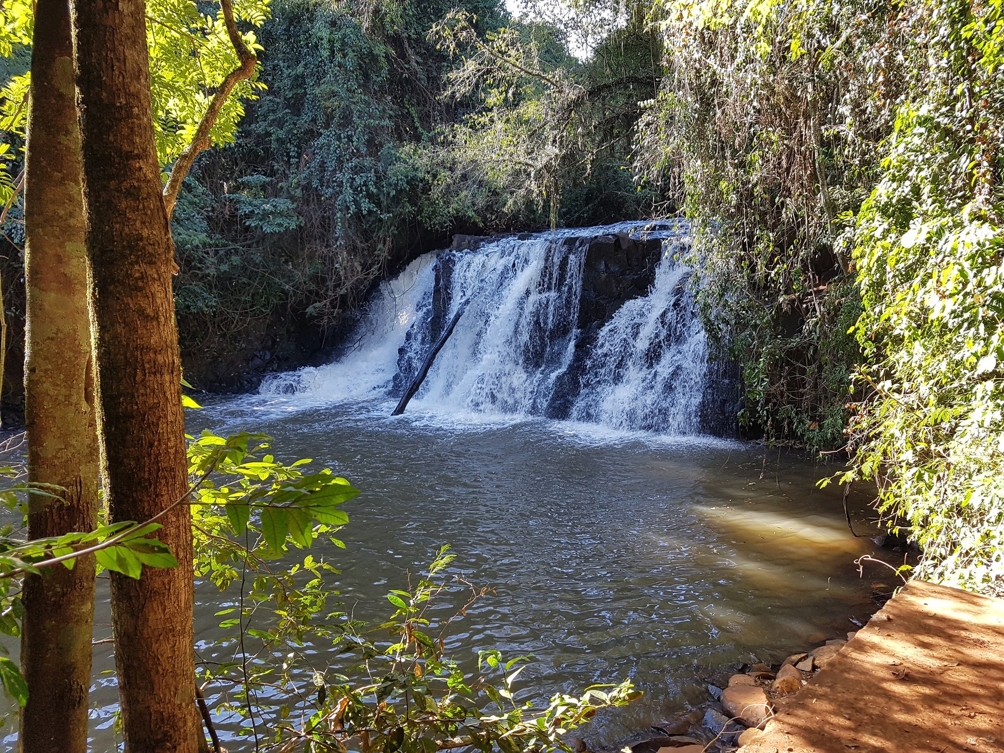 Jovem de 20 anos morre após se afogar enquanto mergulhava em cachoeira no Paraná 