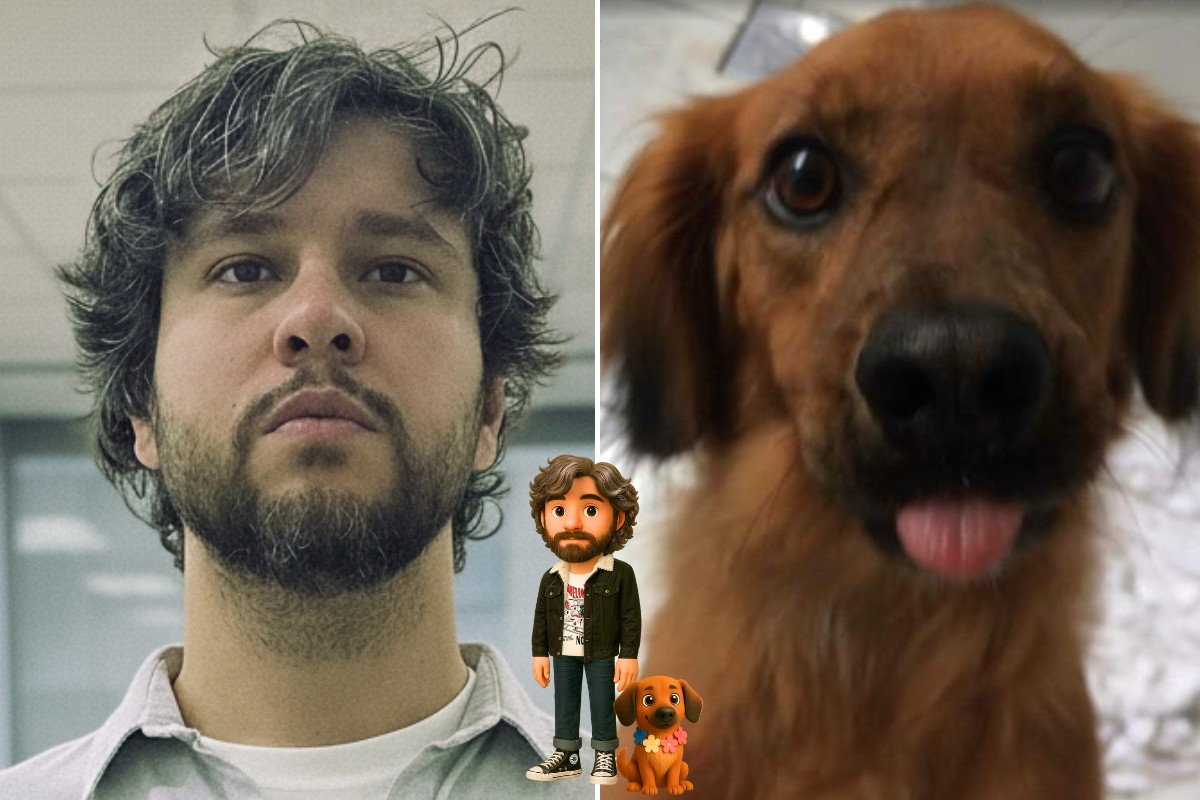 Santista transforma rotina em animação e vence festival com projeto feito por IA; VÍDEO