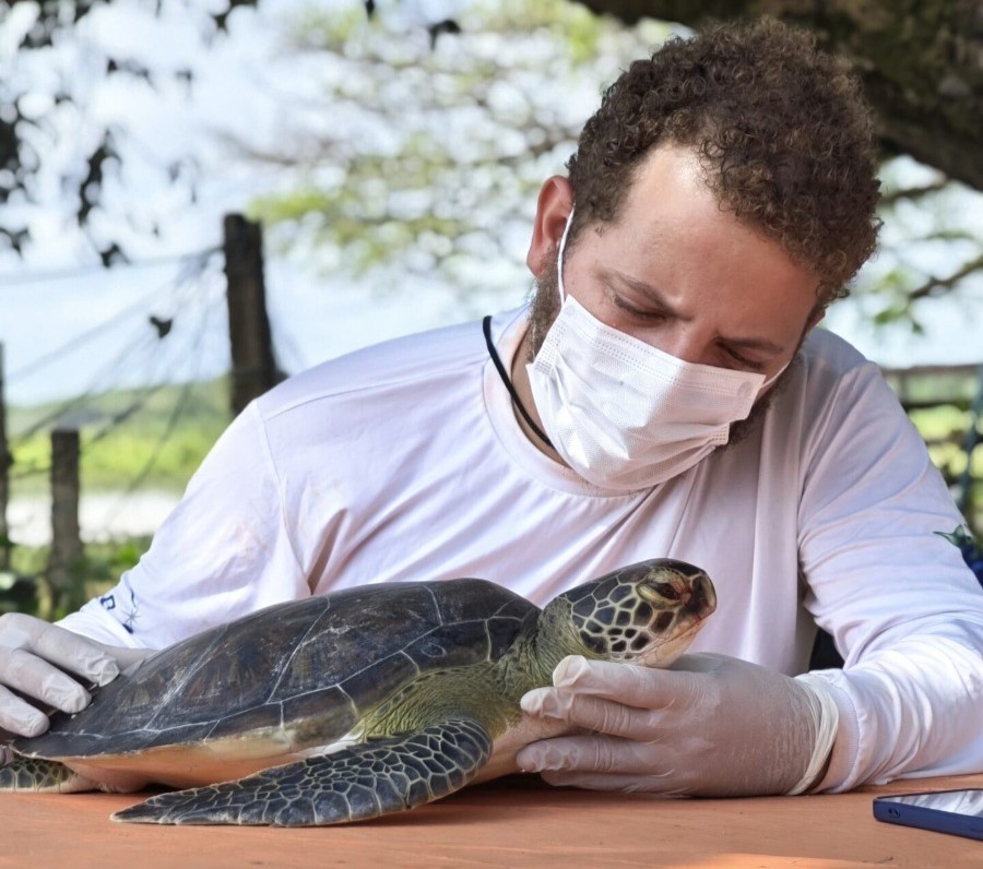 Projeto ambiental resgata 600 animais silvestres entre Amapá e Ceará
