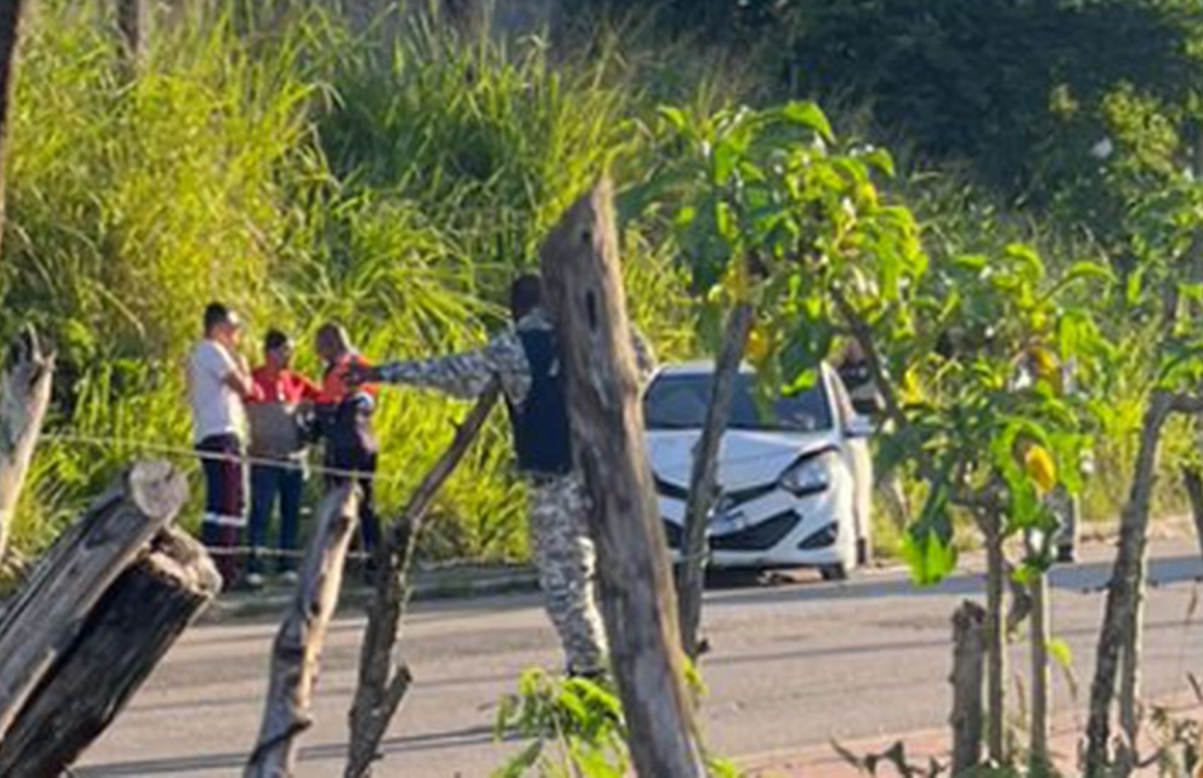 Motorista de aplicativo morre após ser baleado, perder o controle do veículo e bater em poste na BR-101 em SE