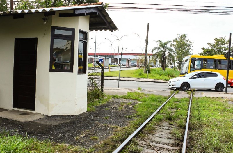 Transporte de cargas nas ferrovias de SC cresce, mas setor produtivo pede ampliação da malha