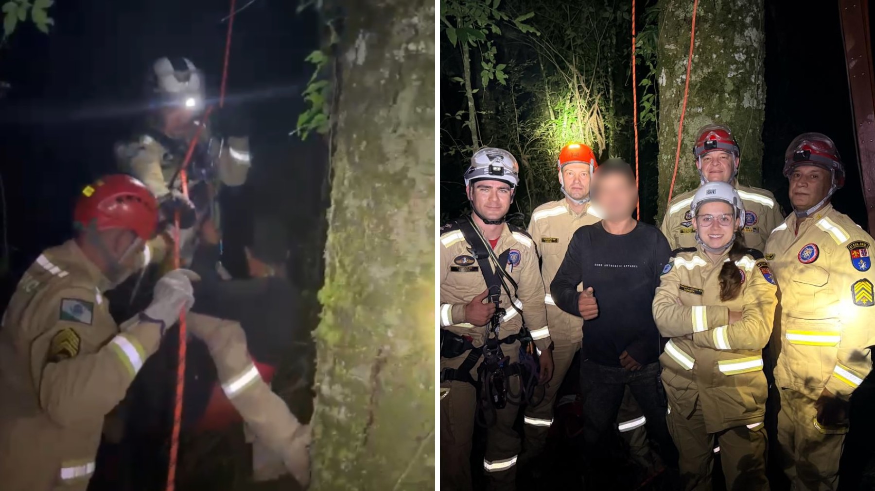 Jovem sobe em araucária no Paraná para colher pinhão, fica preso no topo por mais de duas horas e meia e é resgatado por bombeiros
