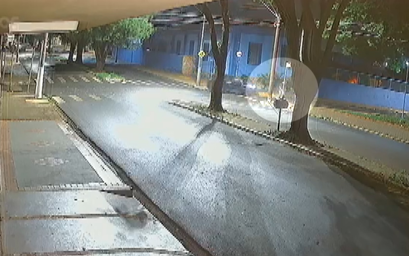 Mulher é presa por suspeita de atropelar companheiro de propósito em Cravinhos, SP