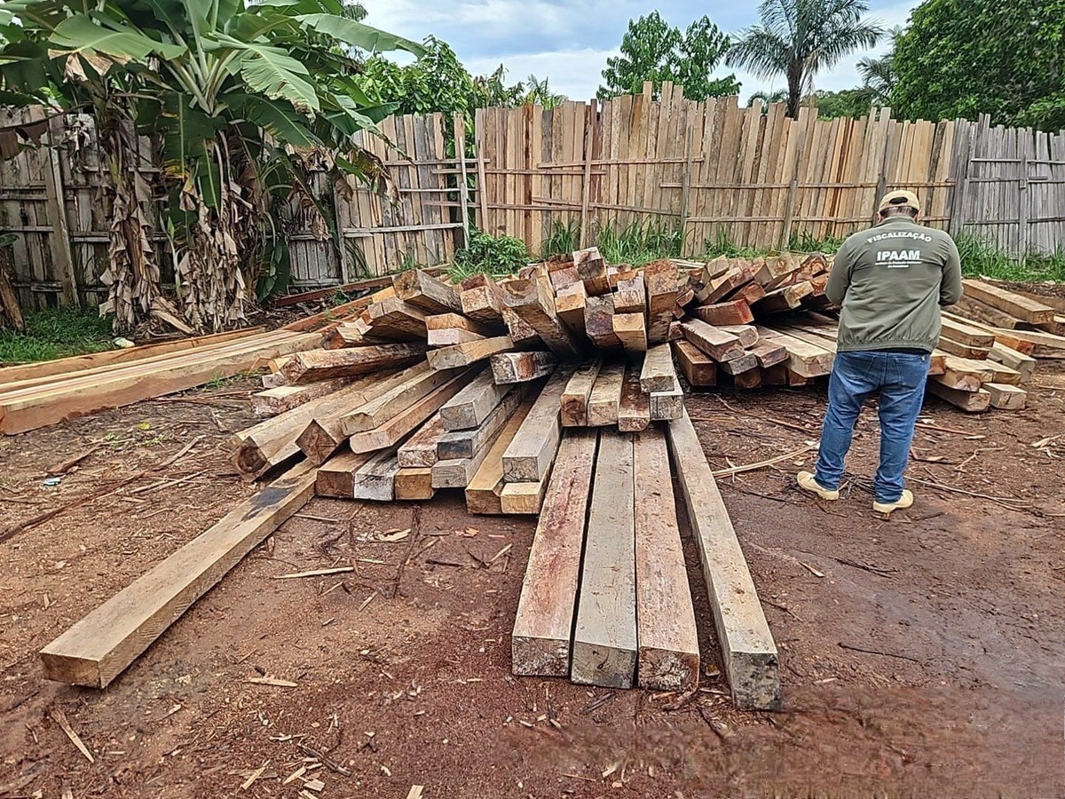 Dez empresas recebem multas de R$ 7,3 milhões por crimes ambientais no Amazonas; veja infrações