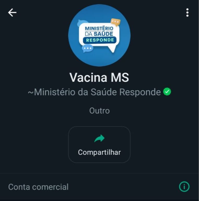 Ministério da Saúde lança 'bot' no WhatsApp para tirar dúvidas sobre vacinas e desmentir fake news
