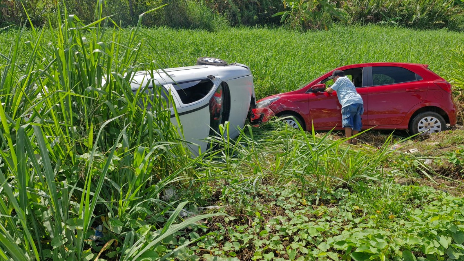 Dois carros caem em ribanceira após acidente na BR-343, em Teresina