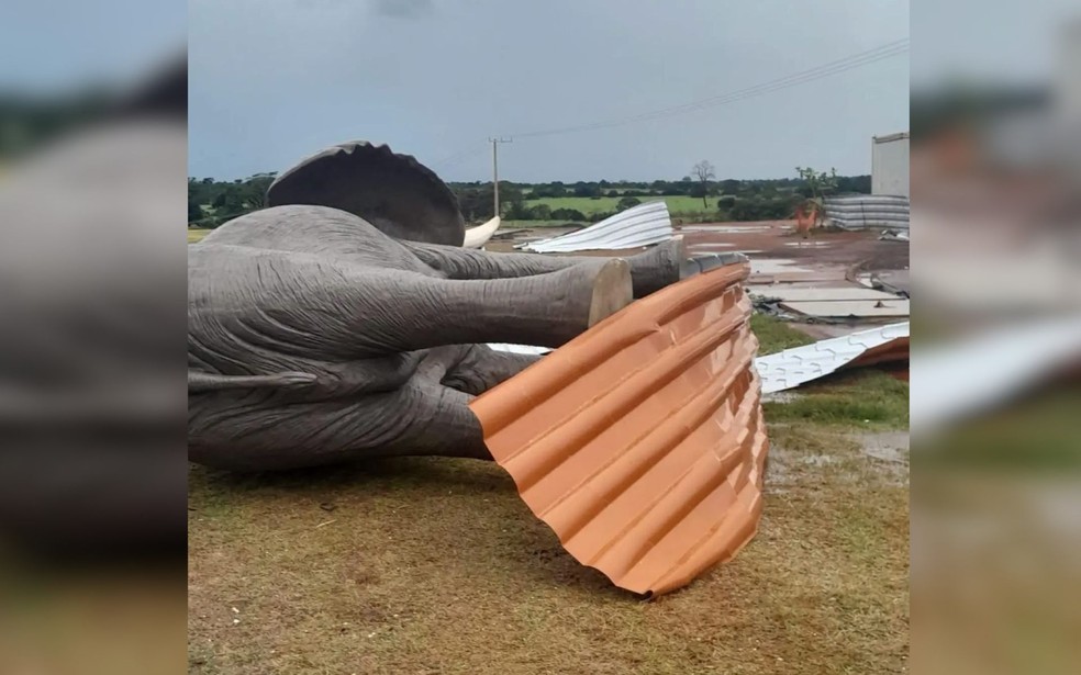 Ventania e chuva causam estragos em Andradina (SP) &mdash; Foto: Imagens cedidas / Hoje Mais Andradina