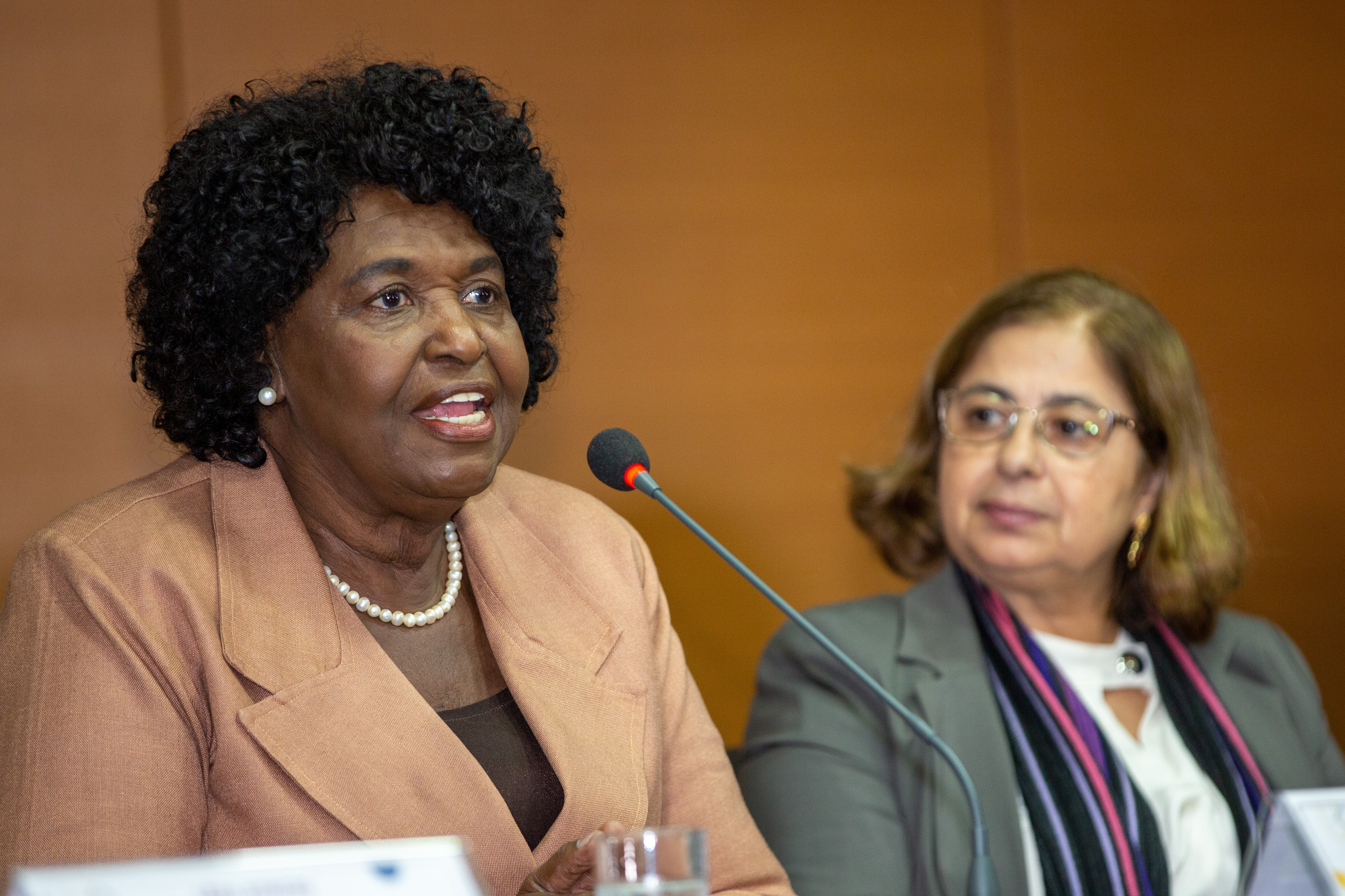 Senado no RJ: Benedita propõe mais investimentos em prevenção de desastres e combate ao ‘racismo ambiental’ no RJ