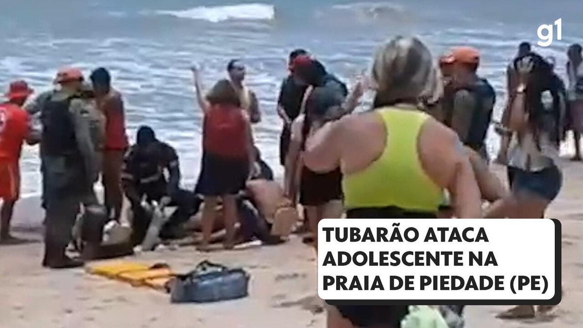 Sem perceber, banhista nada ao lado de tubarão em praia de Fortaleza, Ceará