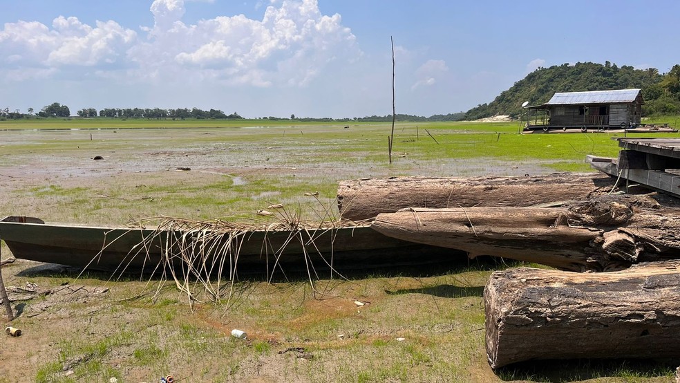 Seca 2023: Lago do Aleixo secou em Manaus — Foto: Gato Júnior/Rede Amazônica