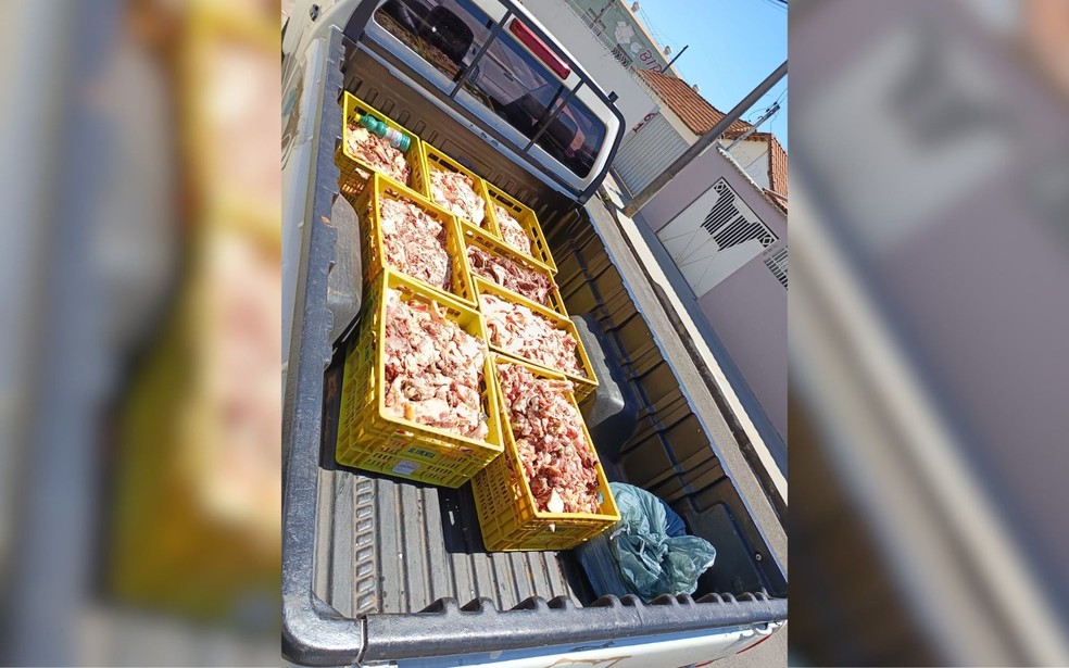 Uma fábrica clandestina de produtos de origem animal é interditada em Birigui (SP) — Foto: Divulgação