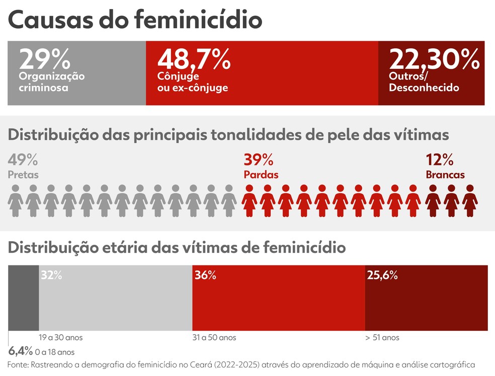 Perfil das vítimas de casos de feminicídio obtido na pesquisa da estudante cearense. — Foto: Louise Anne Dutra/SVM