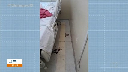 Acompanhante de paciente denúncia sujeira de mau cheiro em quarto HGP em Palmas