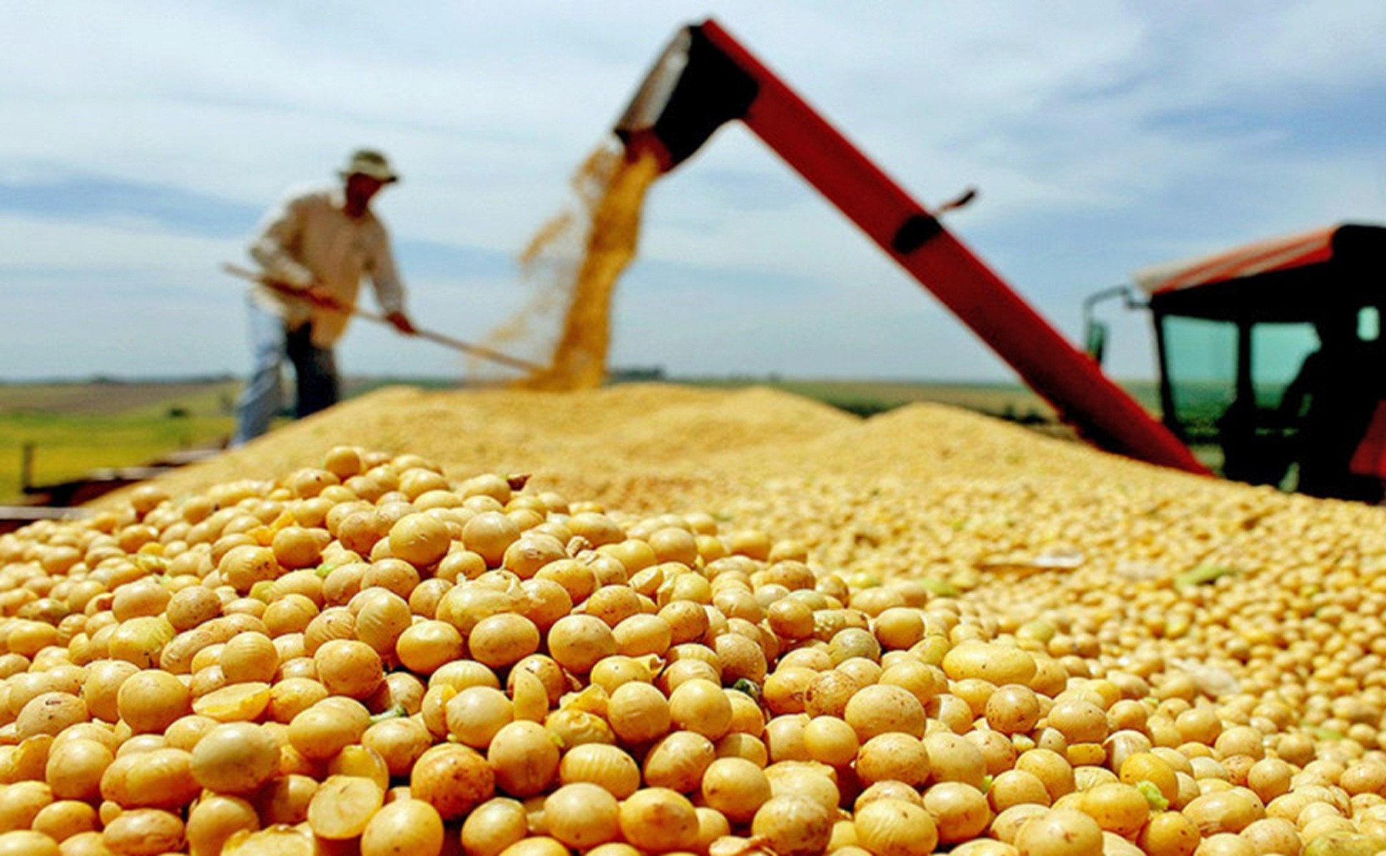 Com expectativa de crescimento, produção da safra de grãos tem estimativa de 8,4 milhões de toneladas no Tocantins em 2025