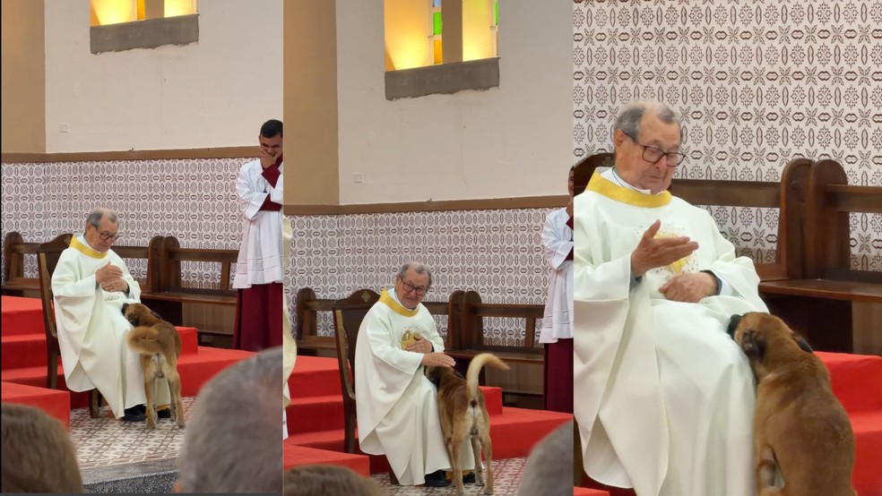 'Cachorro do padre' acompanha missa de despedida e viraliza ap�s subir ao altar na Para�ba � Foto: Arquivo Pessoal/M�rcio Tyson