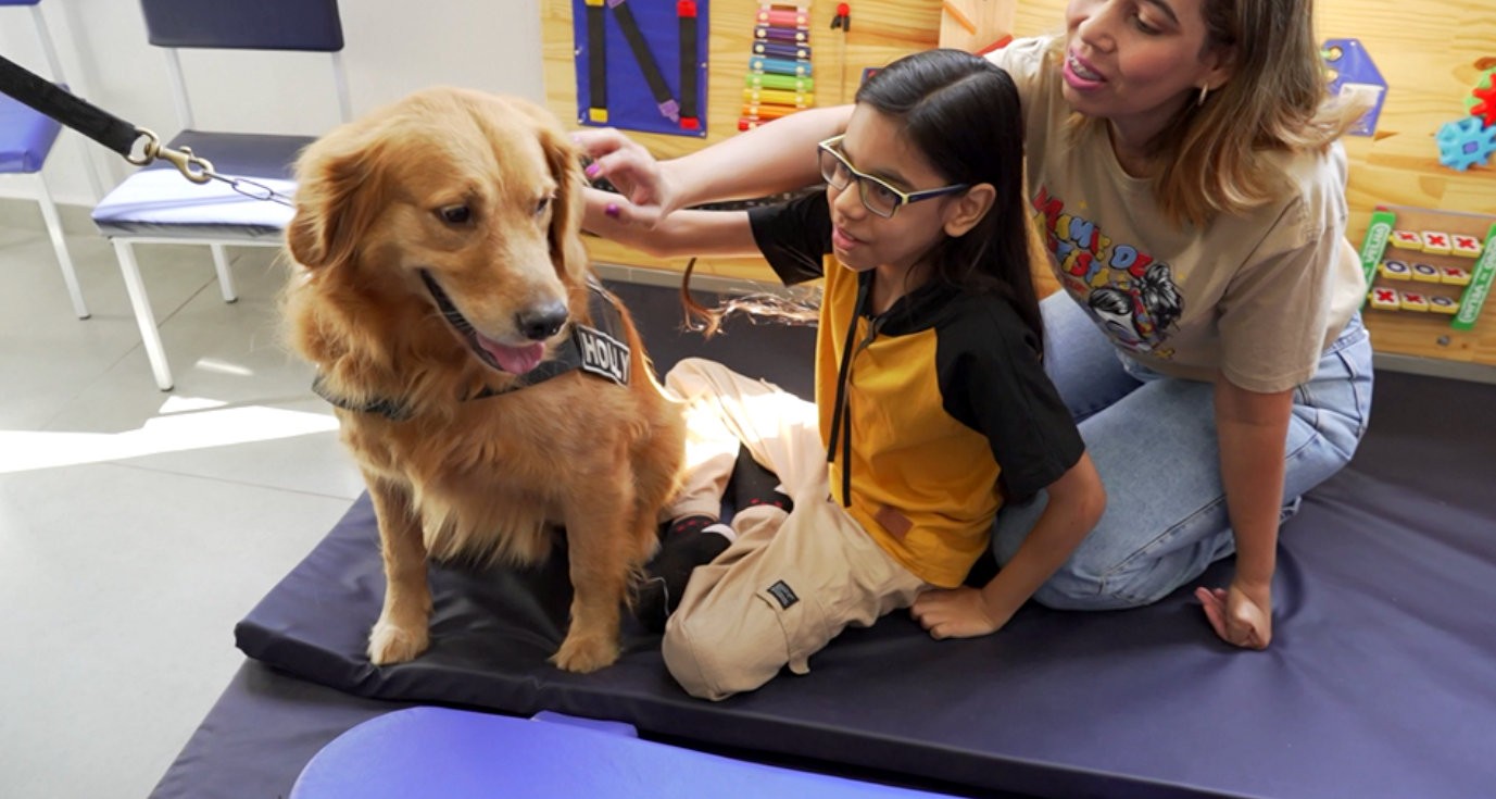 'Cão doutor' ganha consultório para atender crianças neurodivergentes no interior de SP 