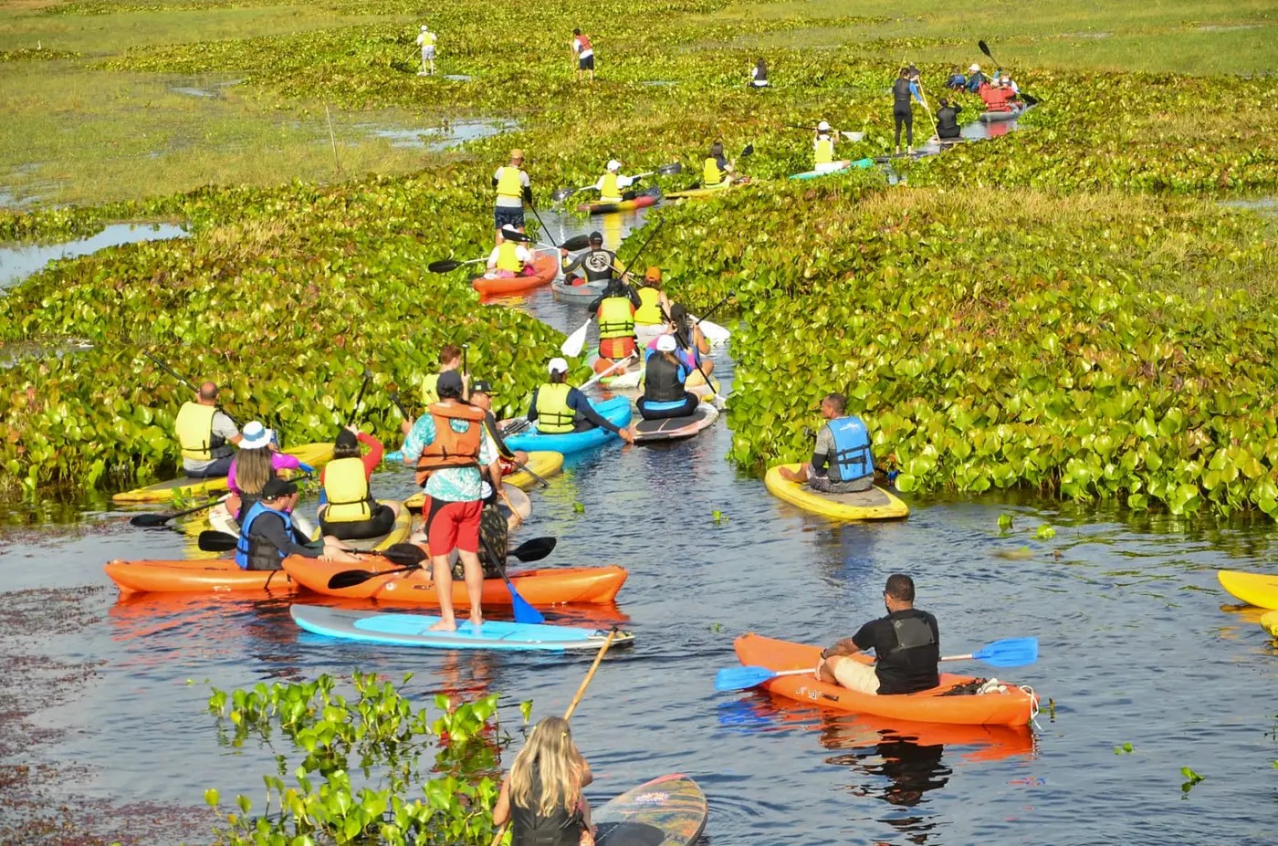 Áreas ambientais da Fazendinha e Rio Curiaú recebem ação de educação ambiental em Macapá 