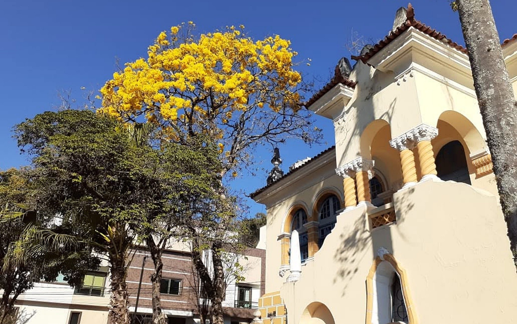 Diretora de escola é investigada por obrigar aluno de 10 anos a beber a própria urina em MG