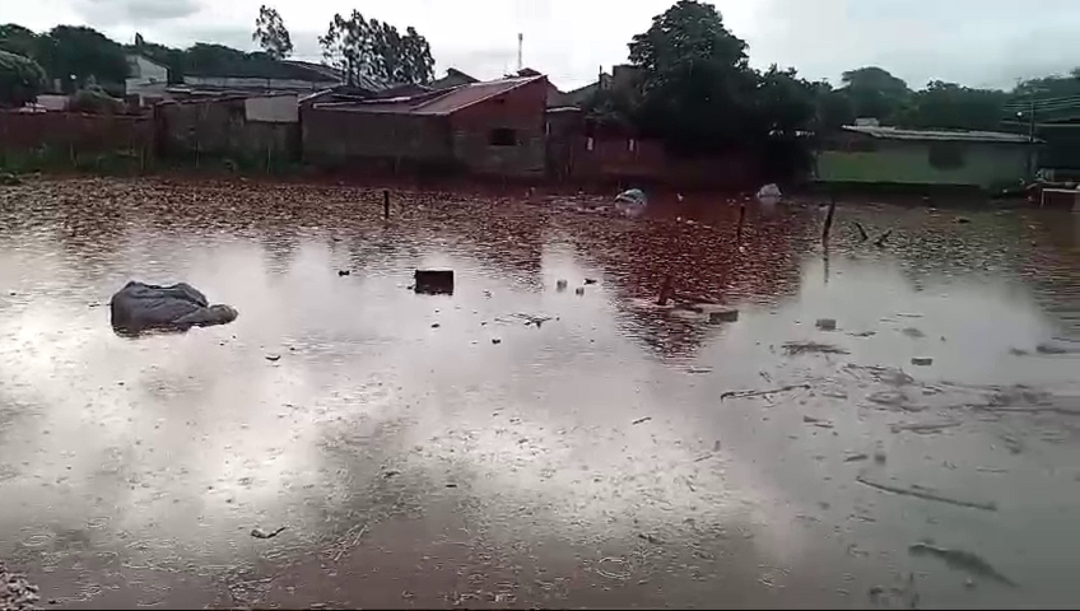 Fortes chuvas causam estragos, queda de árvores e pontos de alagamentos no Oeste Paulista