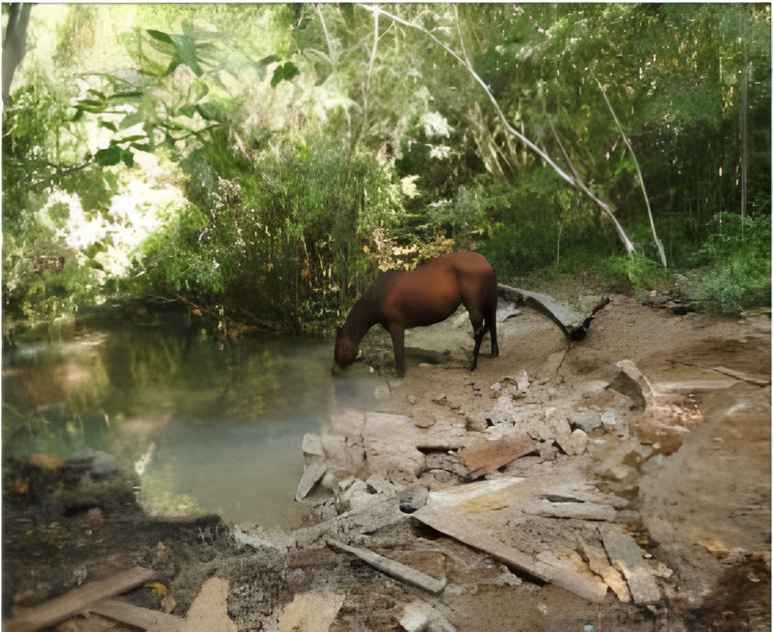 Local onde cavalos e bois bebem água às margens de rio e tábuas espalhadas — Foto: Reprodução