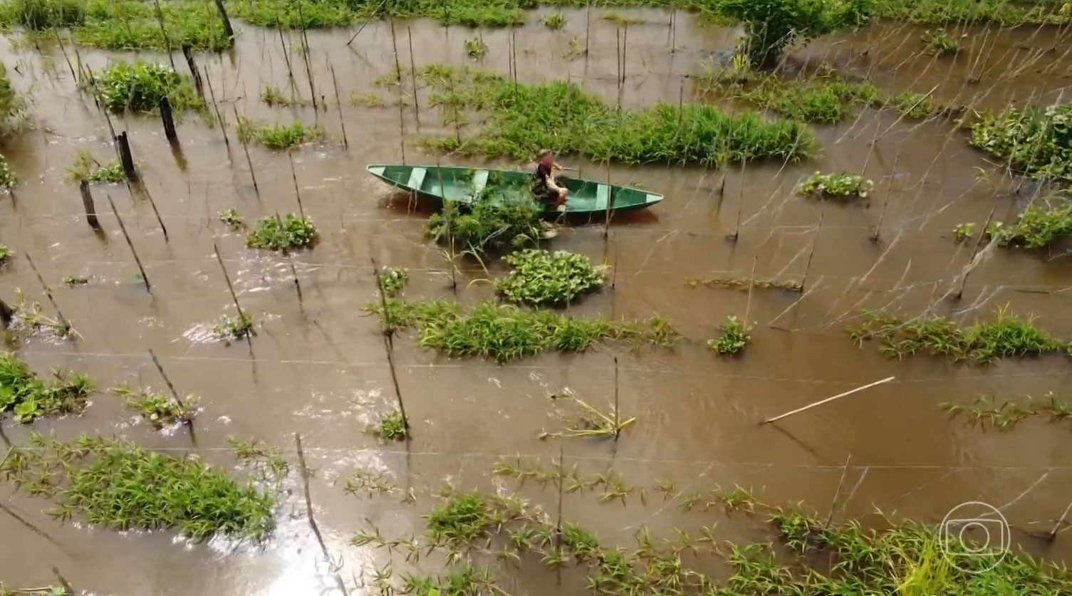 Cheia dos rios impõe prejuízos a produtores rurais no Amazonas