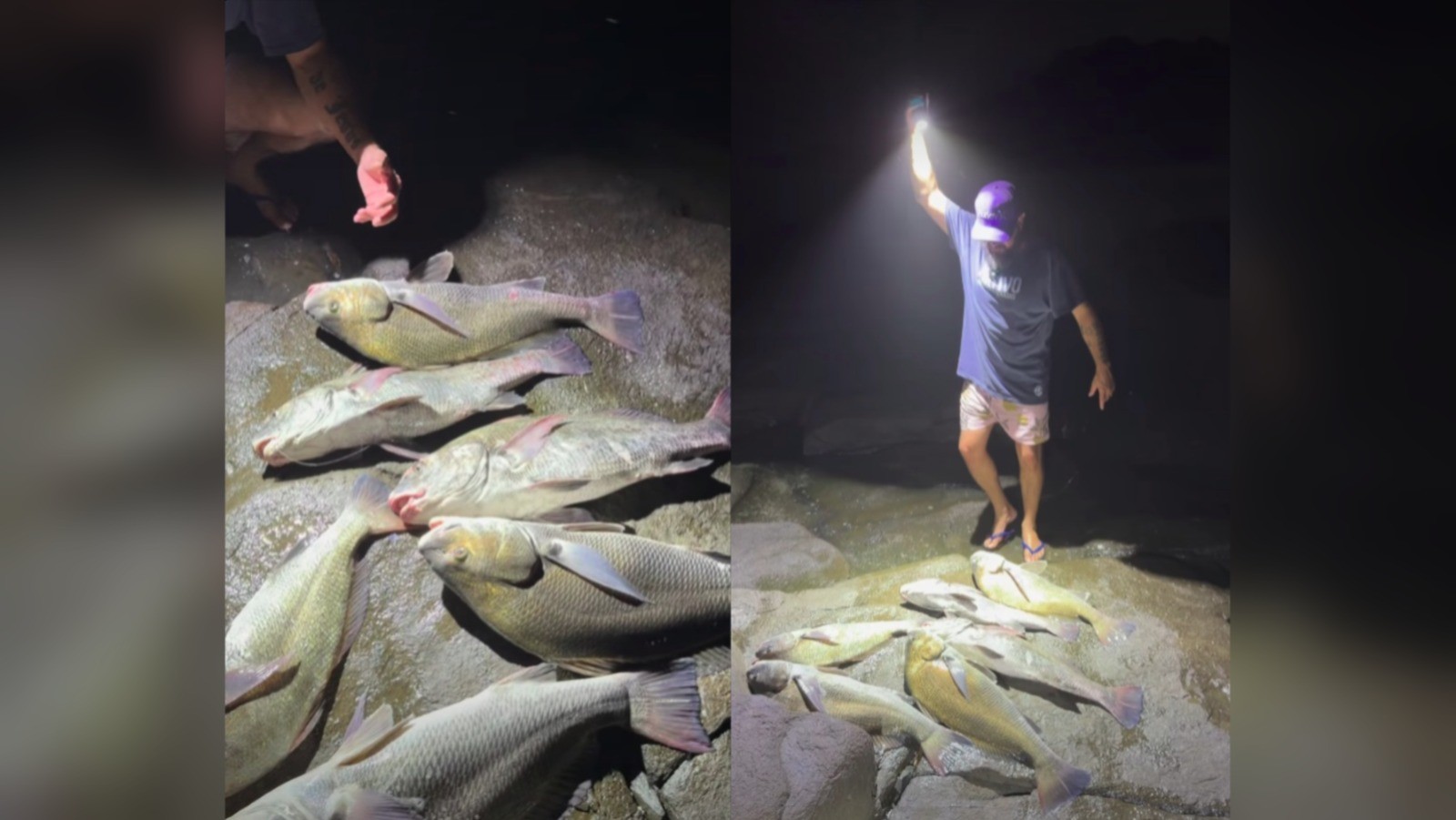 Influencer é multado em R$ 60 mil por pescar peixes em extinção e divulgar curso de como capturar espécie em SC, diz Ibama