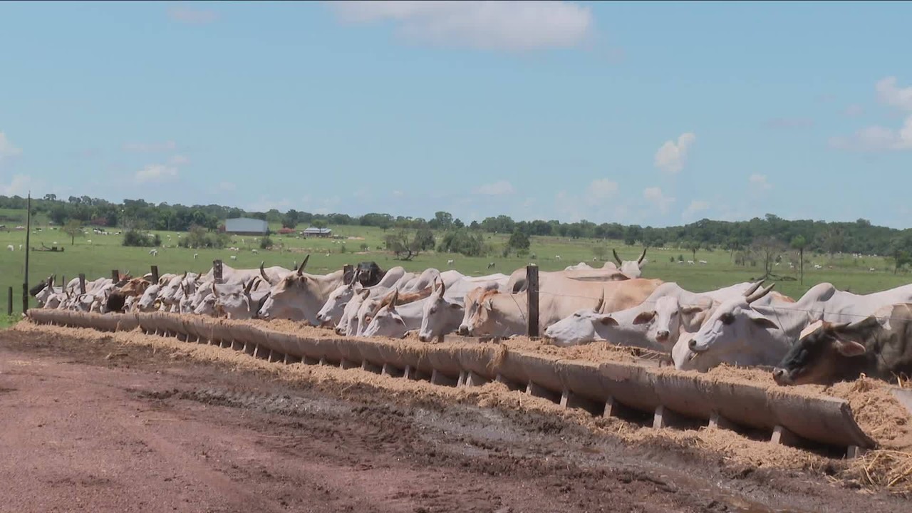 Lula diz que Uruguai cedeu ao Brasil parte da cota de exportação de carne bovina à China
