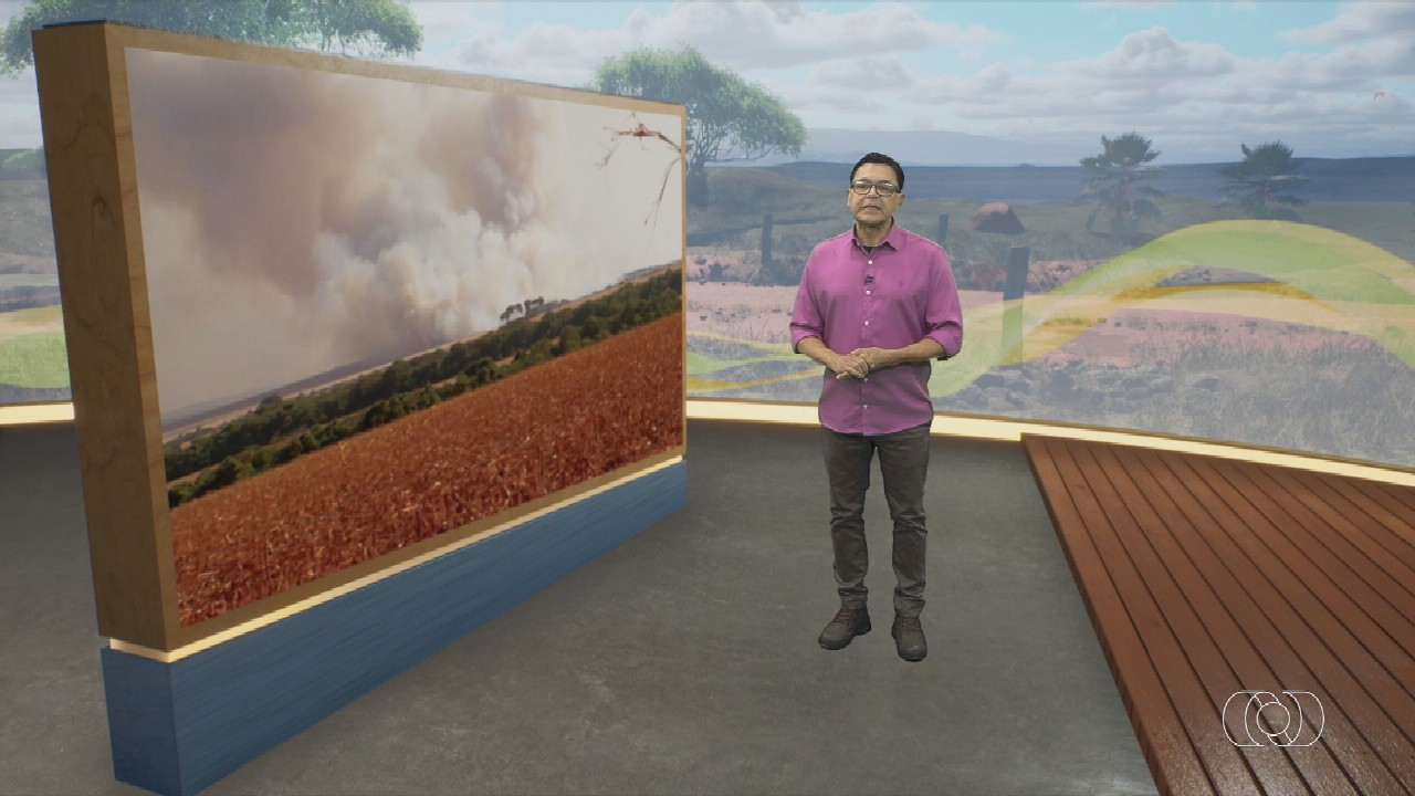 VÍDEOS: Jornal do Campo GO de domingo, 31 de agosto de 2025