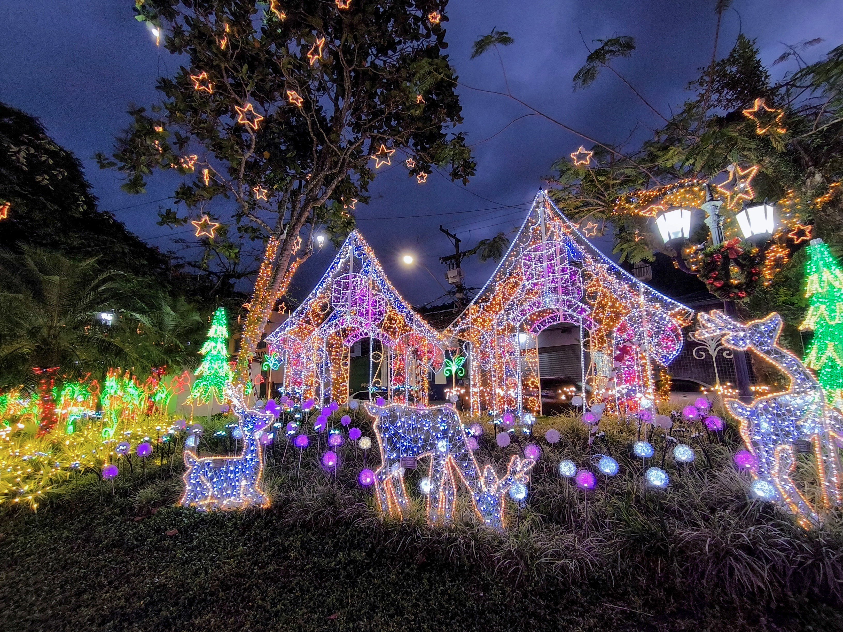 🎄FOTOS: veja a decoração de Natal das cidades do Sul do Rio e Costa Verde