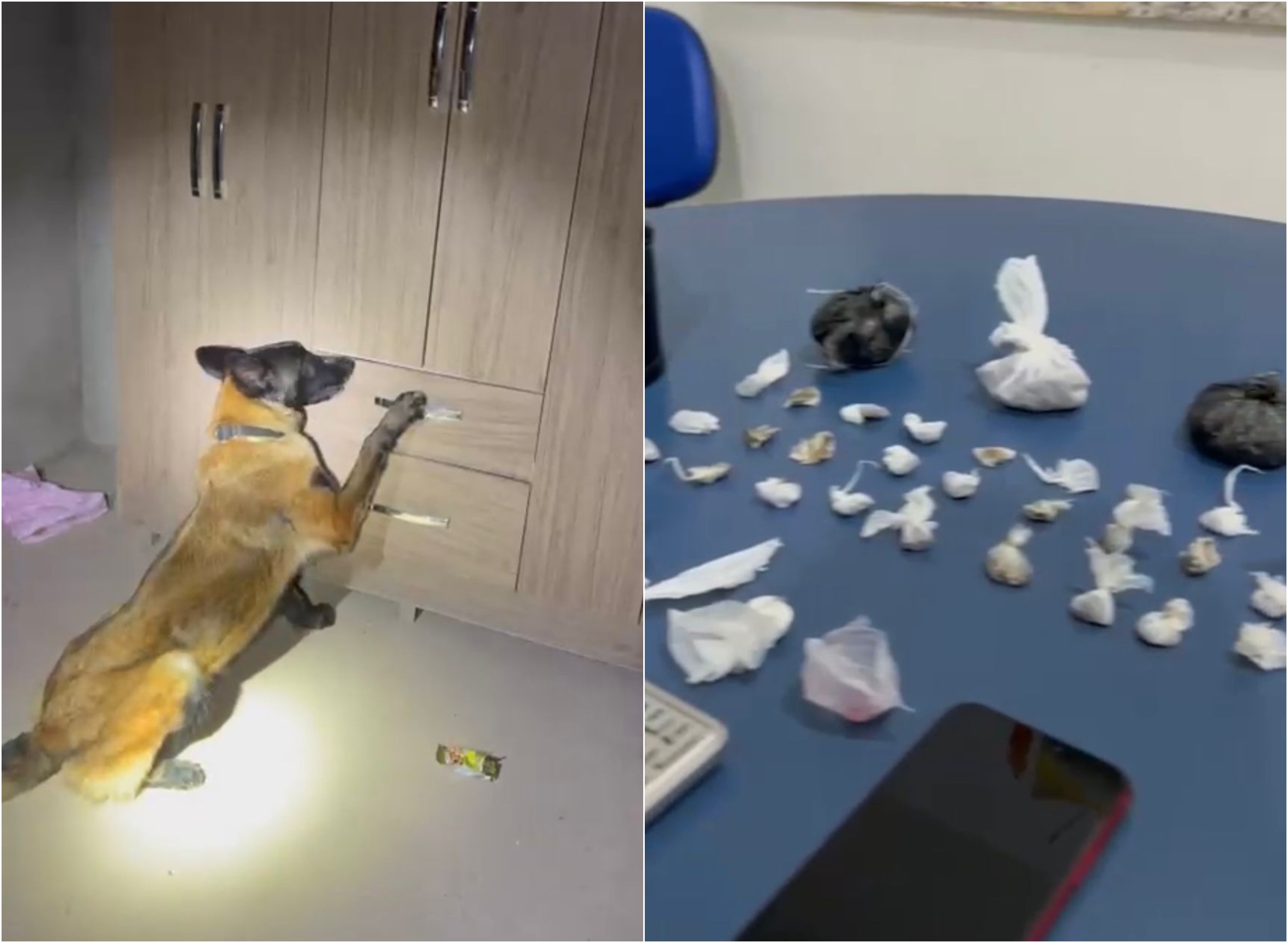 Casal é preso com 29 pacotes de drogas escondidos dentro de guarda-roupa em Boa Vista 