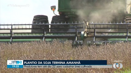 Plantio da soja termina nesta quarta-feira (14); confira