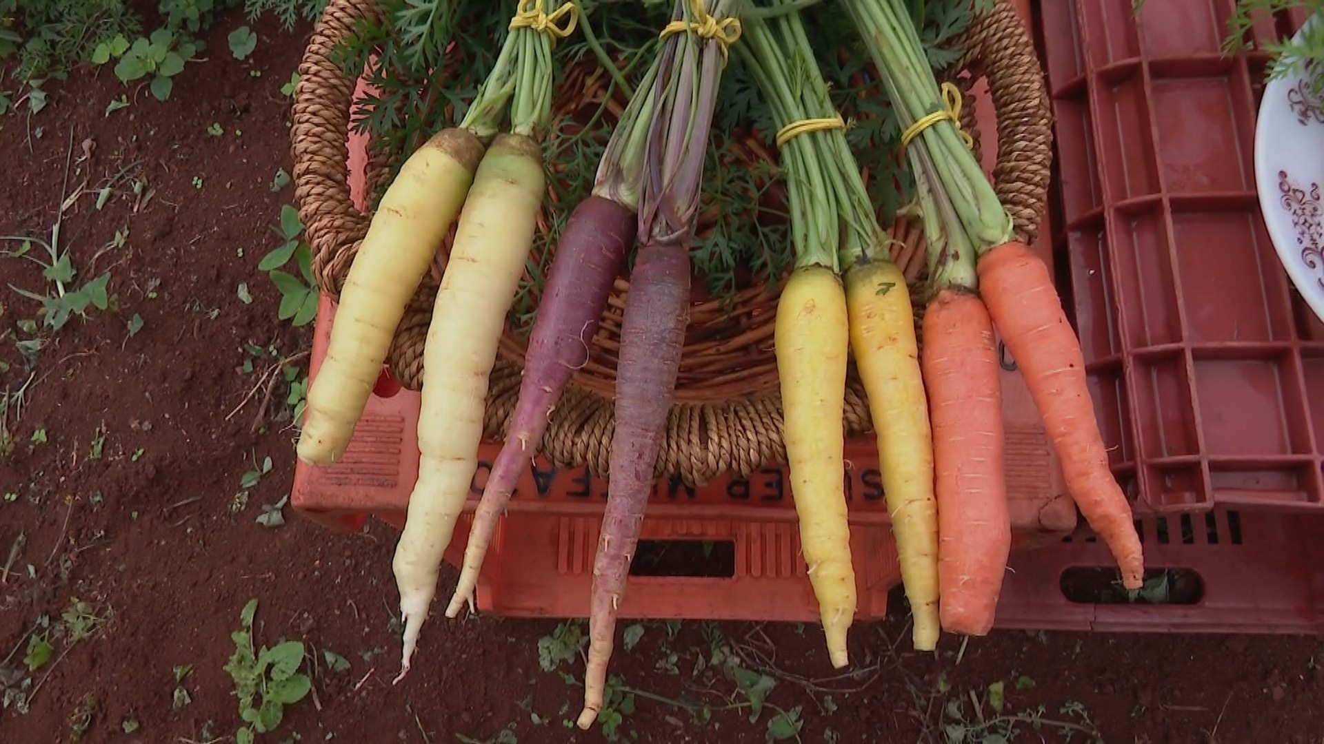 Você Não Tá Convidada pro Meu Bat Mitzvá!