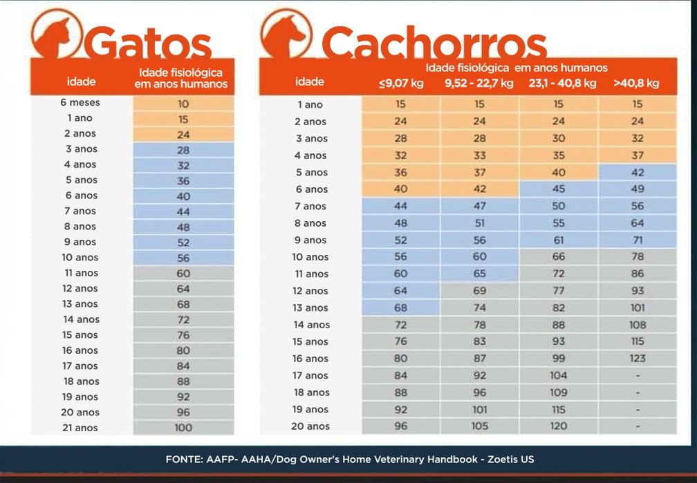 Tabela compara idade de pets e humanos — Foto: AAFP