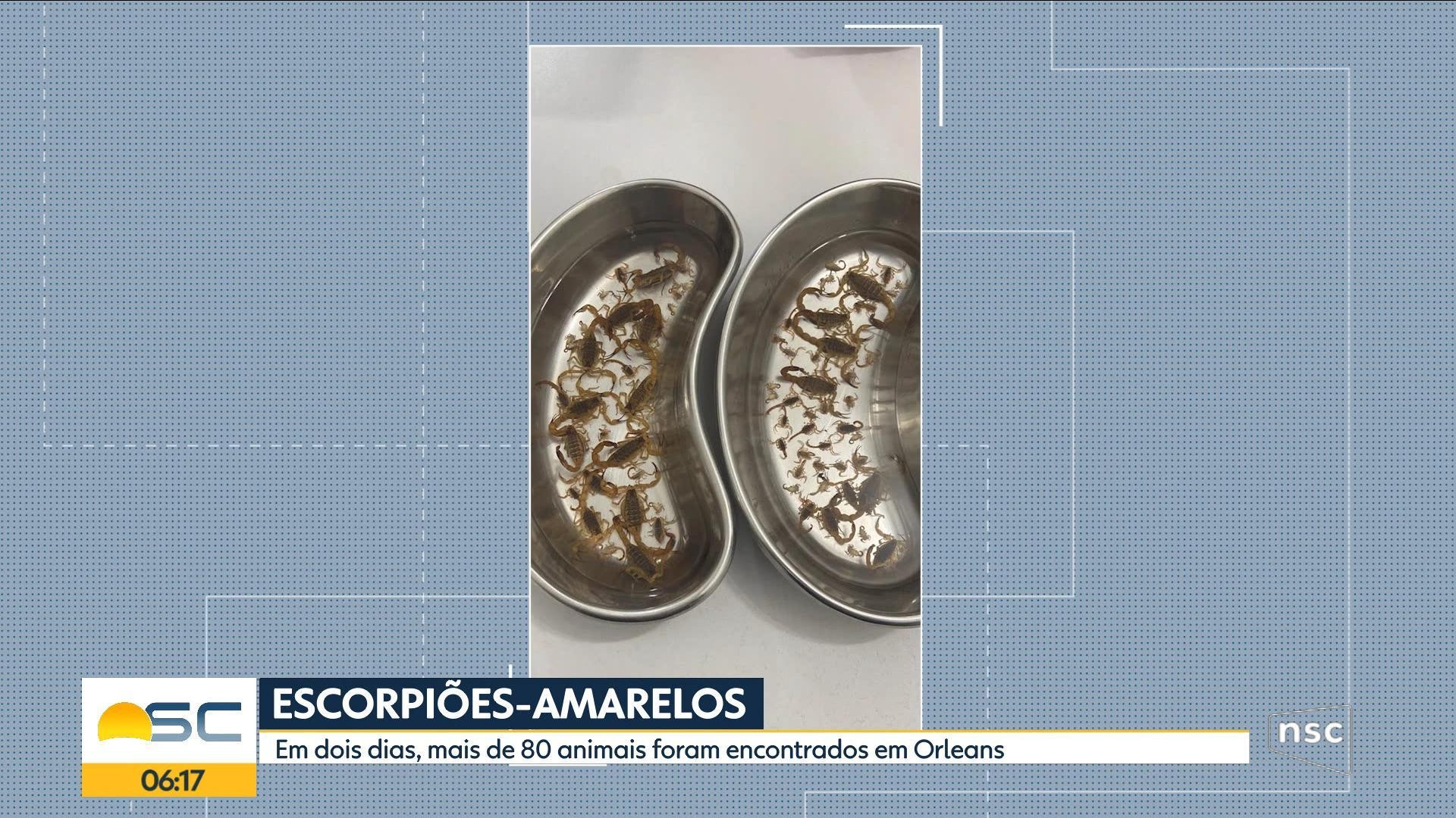 VÍDEOS: Bom Dia Santa Catarina de quinta-feira, 16 de abril de 2026